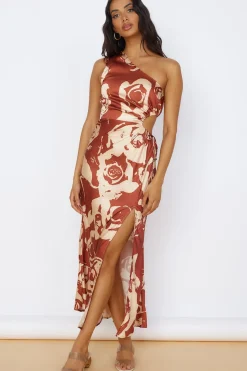 Cocktail Dresses|Date Night Dresses>Hello Molly Fulfilled Dreams Maxi Dress Brown