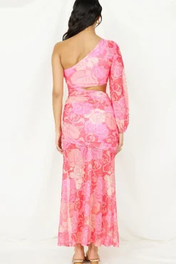 Spring Break Dresses|Maxi Dresses>Hello Molly Over and Over Maxi Dress Pink Print